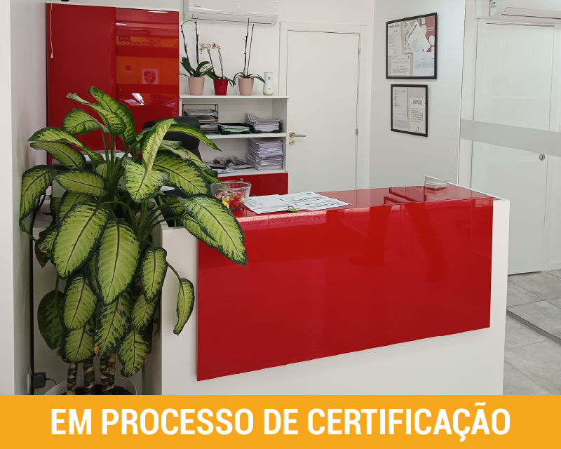 auto-be-more-free-MVBER-oficina-certificada